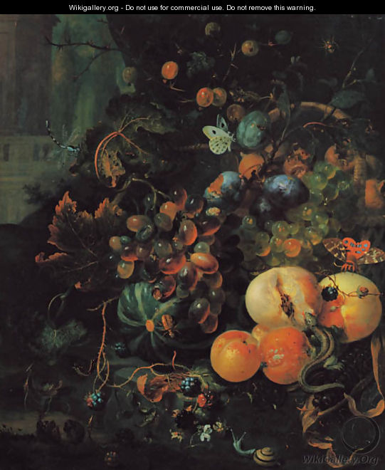 A forest floor still life with peaches, plums, grapes on the vine and other fruits, with a lizard, a snail, butterflies and other insects - Jan Mortel