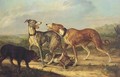 Hounds fighting over a hare in an extensive landscape - Jan Dasveldt