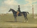 A black racehorse with a trainer up, with horses being exercised beyond - James Pollard