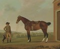 A Groom holding a Saddled Hunter outside a Stable with a Terrier - James Millar