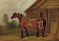 A strawberry roan horse before a stable - James Scraggs