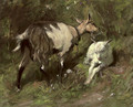 A goat with her kid - James Riddel