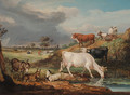 Cattle, donkeys and pigs by a pool 2 - James Ward
