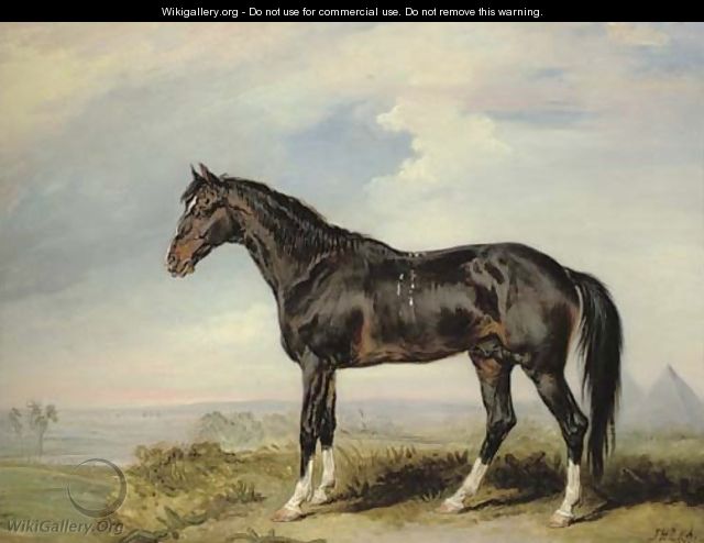 A Dongola stallion from Nubia, in an Egyptian landscape with pyramids - James Ward