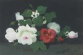 White and red roses - James Stuart Park