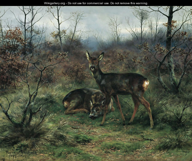 Young deer in a forest clearing - Rosa Bonheur