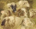 Tetes de moutons et beliers - Rosa Bonheur
