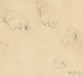 A lioness - studies - Rosa Bonheur