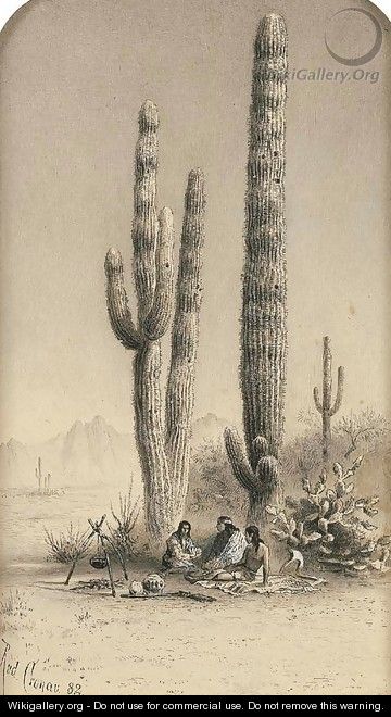 Giant Cactus in the Gila Desert - Rudolf (Daniel Ludwig) Cronau