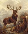 A stag with doe in a highland landscape - Robert Cleminson