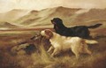 Setters retrieving partridges - Robert Cleminson