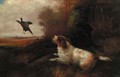 Spaniels putting up pheasant - Robert Cleminson
