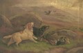 Gundogs on a grouse moor - Robert Cleminson