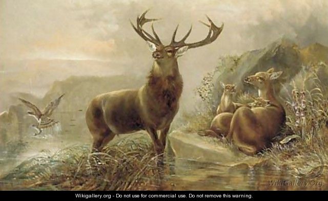 A stag with hinds by a loch - Robert Cleminson
