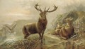 A stag with hinds by a loch - Robert Cleminson
