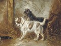 Mischevious terriers in a barn - Robert Cleminson