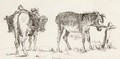 Study of two donkeys - Robert Hills