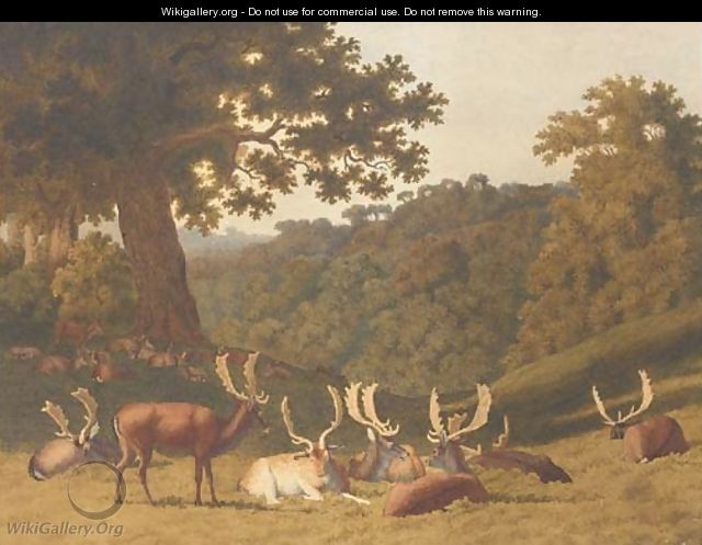 Stags and hinds resting in a parkland landscape - Robert Hills
