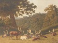 Stags and hinds resting in a parkland landscape - Robert Hills