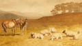 Sheep and ponies resting in an extensive landscape - Robert Hills