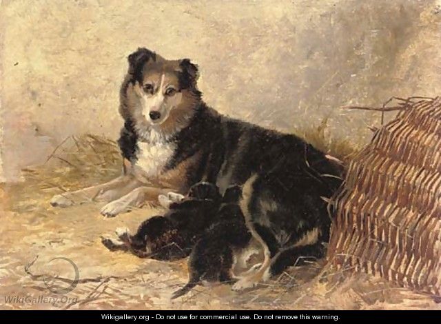 Motherhood - A collie with puppies - Richard Ansdell