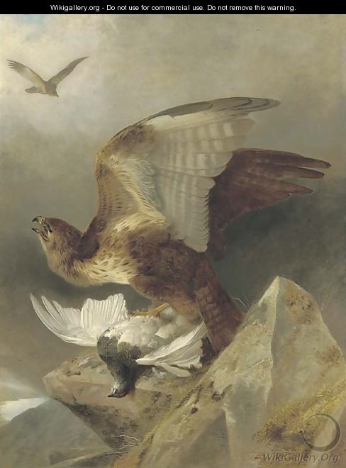 A buzzard with a ptarmigan in a highland landscape - Richard Ansdell