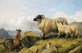 Highland Folk - Two Lambs, a Ewe and a Fox - Richard Ansdell