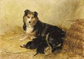 A collie and puppies - Richard Ansdell