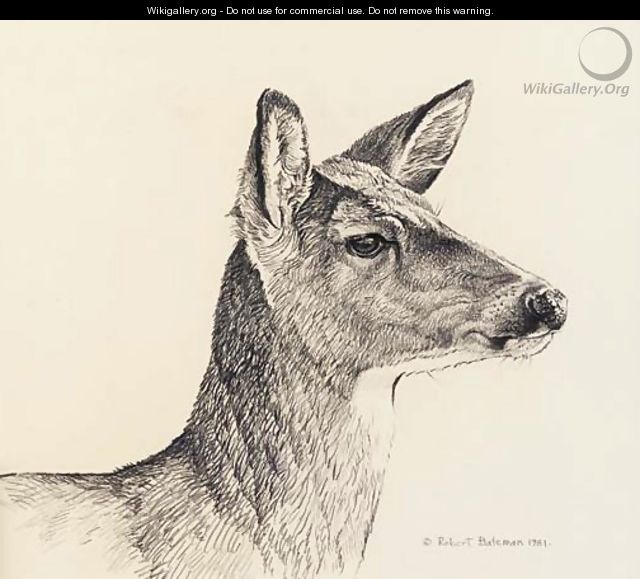 White-Tailed Deer - Robert Bateman