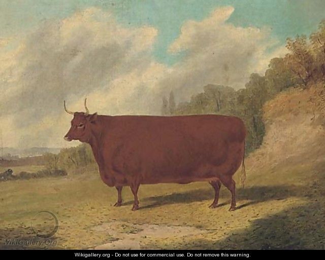 A prize cow in an extensive landscape - Richard Whitford