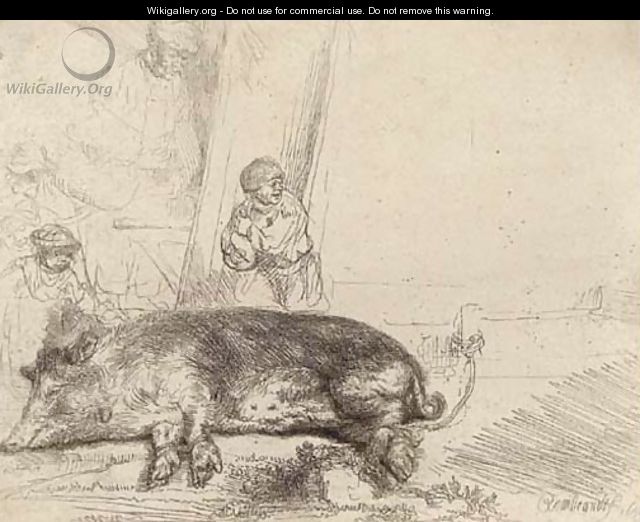 A Hog - Rembrandt Van Rijn