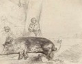 A Hog - Rembrandt Van Rijn