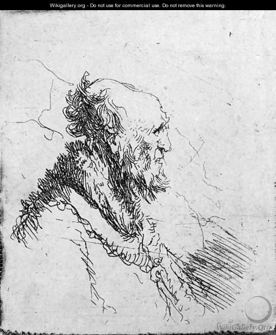 A bald old Man with a short Beard, in Profile Right - Rembrandt Van Rijn