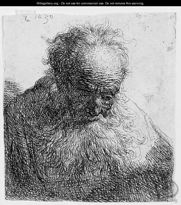 Bust of an old Man with a flowing Beard The Head bowed forward - Rembrandt Van Rijn