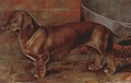 'Janita' K.C.S.B. 36511, a dachshund - Roger Fry