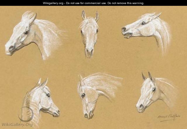 White horses - H. Raoul Millais
