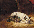 The artist's pets - Ralph Hedley