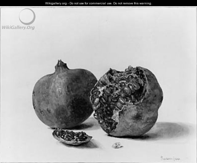 A Still Life with two Pomegranates - Pieter Ernst Hendrik Praetorius