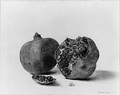 A Still Life with two Pomegranates - Pieter Ernst Hendrik Praetorius
