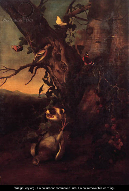 A marten with a dead dove and butterflies by the foot of a tree in a landscape - Pieter Withoos