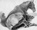 A Horse lying down, seen from the back - Pieter van Bloemen