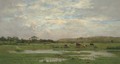 Prairies inondees, Pas de Calais - Pierre-Emmanuel Damoye