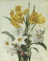 A bouquet of daffodils and narcissi with a red underwing moth - Pierre-Joseph Redouté