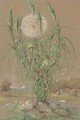 Study of a dandelion - Pierre Ernest Prins