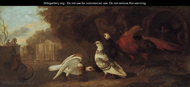 Pigeons, pheasants, and other birds in a wooded landscape, a classical facade beyond, an overdoor - Pieter Casteels