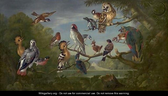 A concert of birds - Pieter Casteels III