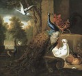 A peacock and chickens with other birds - Pieter Casteels III