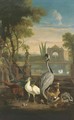 A Demoiselle crane, a pheasant, a duck and other birds in an Italianate garden with a lake - Pieter Casteels