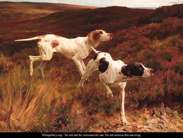 Two Pointers on the Moors - Thomas Blinks
