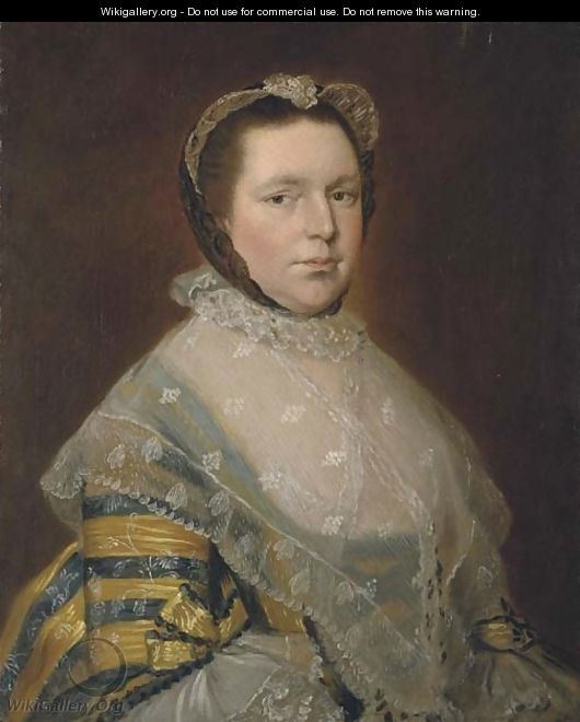 Portrait of Mrs Thomas Prowse - Thomas Gainsborough
